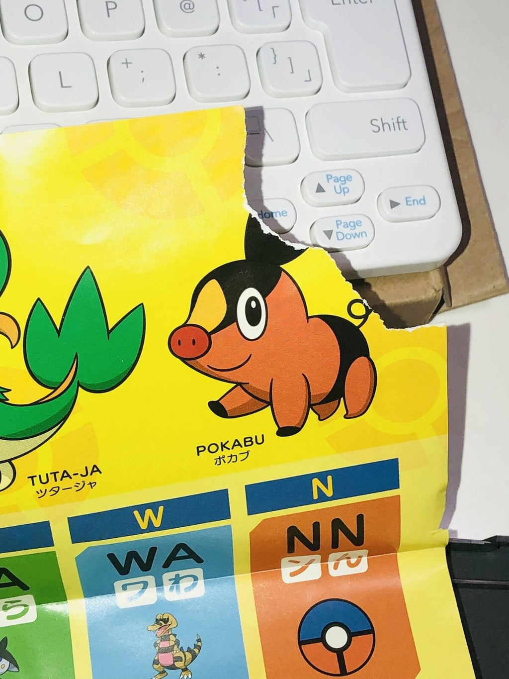 Battle & Get! Pokemon Typing DS Nintendo DS Japan Pokémon with keyboard set box